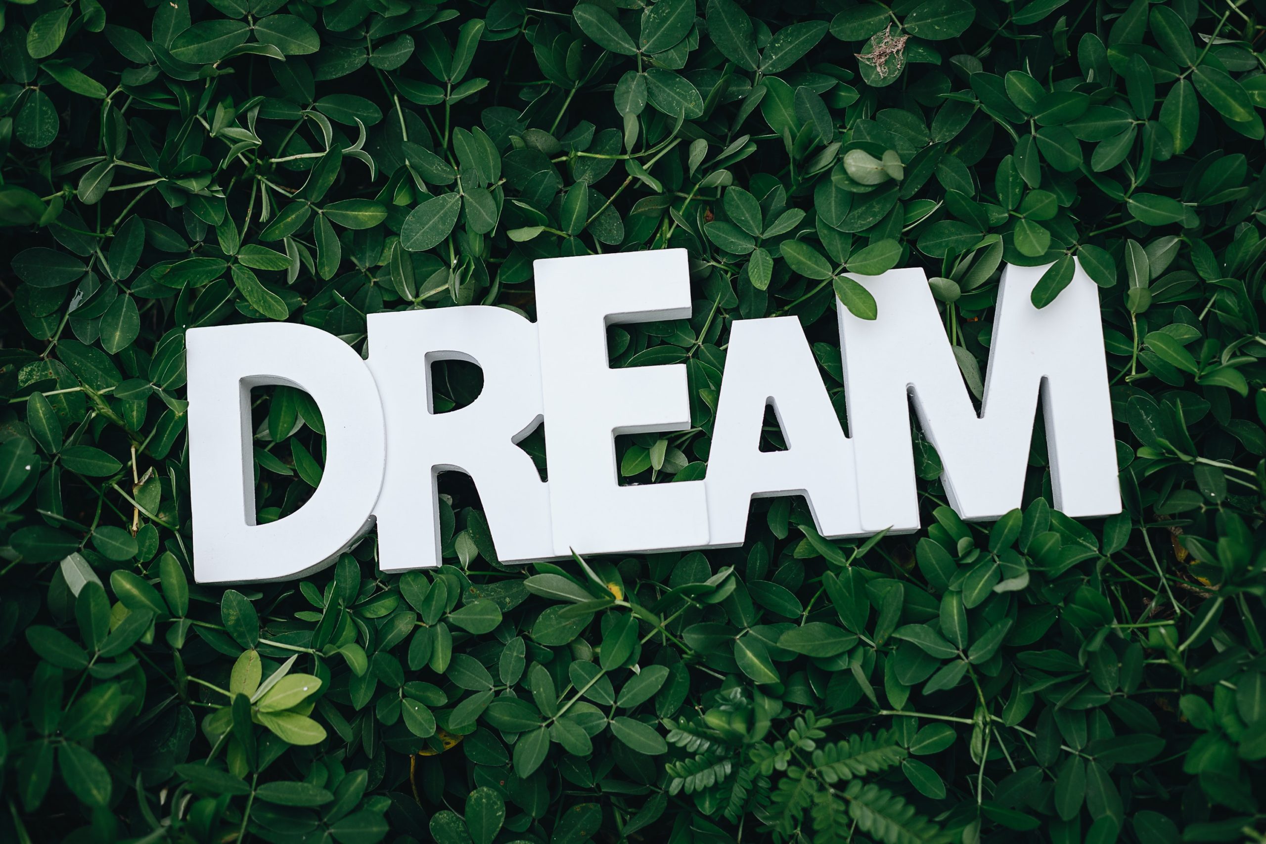 Dream White Green Wallpaper