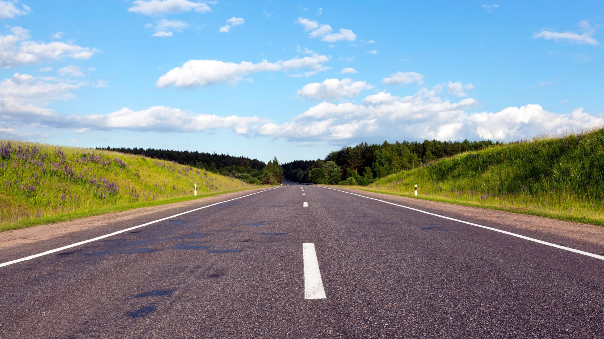 Empty road beside green land nature wallpaper